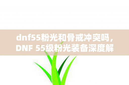 dnf55粉光和骨戒冲突吗,DNF 55级粉光装备深度解析与获取攻略 dnf55粉光和骨戒冲突吗,DNF 55级粉光装备深度解析与获取攻略