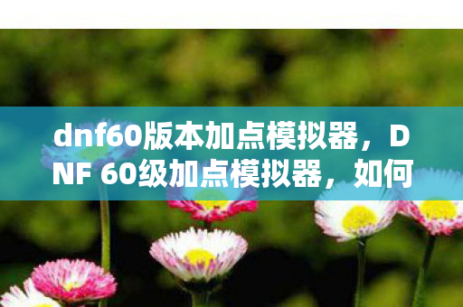 dnf60版本加点模拟器,DNF 60级加点模拟器,如何合理分配属性点以提升角色实力? dnf60版本加点模拟器,DNF 60级加点模拟器,如何合理分配属性点以提升角色实力?