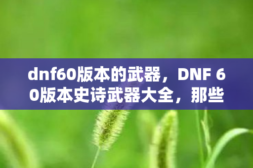 dnf60版本的武器,DNF 60版本史诗武器大全,那些令人心动的传奇装备 dnf60版本的武器,DNF 60版本史诗武器大全,那些令人心动的传奇装备
