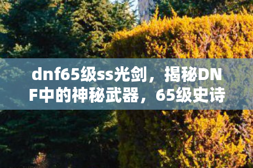 dnf65级ss光剑,揭秘DNF中的神秘武器,65级史诗光剑 dnf65级ss光剑,揭秘DNF中的神秘武器,65级史诗光剑