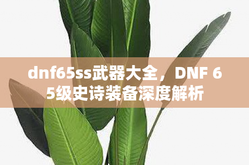 dnf65ss武器大全,DNF 65级史诗装备深度解析 dnf65ss武器大全,DNF 65级史诗装备深度解析