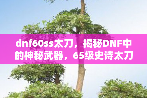 dnf60ss太刀,揭秘DNF中的神秘武器,65级史诗太刀 dnf60ss太刀,揭秘DNF中的神秘武器,65级史诗太刀
