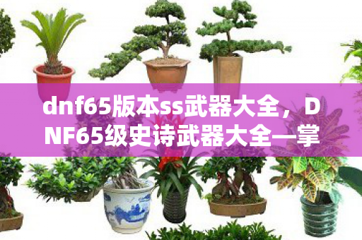 dnf65版本ss武器大全，DNF65级史诗武器大全—掌握所有顶级武器的秘密