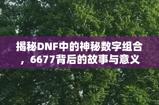 揭秘DNF中的神秘数字组合，6677背后的故事与意义