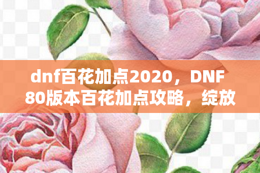 dnf百花加点2020，DNF 80版本百花加点攻略，绽放你的职业风采！