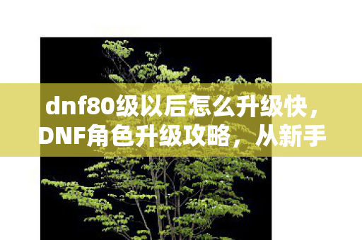 dnf80级以后怎么升级快,DNF角色升级攻略,从新手到巅峰,轻松应对80级升级挑战 dnf80级以后怎么升级快,DNF角色升级攻略,从新手到巅峰,轻松应对80级升级挑战