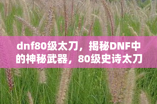 dnf80级太刀，揭秘DNF中的神秘武器，80级史诗太刀