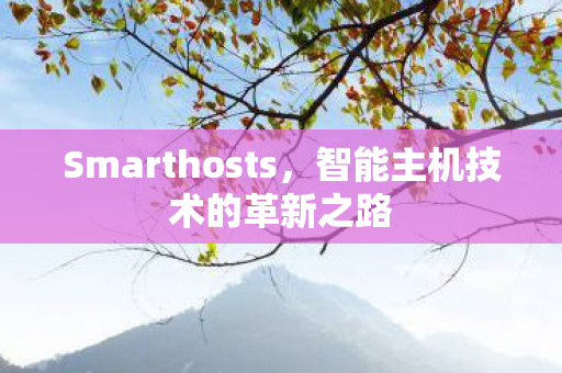 Smarthosts,智能主机技术的革新之路 Smarthosts,智能主机技术的革新之路
