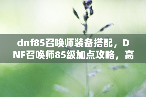 dnf85召唤师装备搭配,DNF召唤师85级加点攻略,高效刷图必备指南 dnf85召唤师装备搭配,DNF召唤师85级加点攻略,高效刷图必备指南