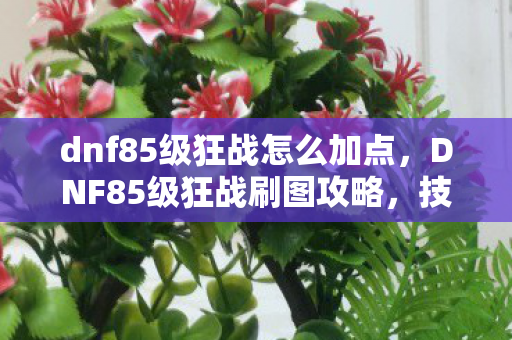 dnf85级狂战怎么加点,DNF85级狂战刷图攻略,技能加点详解 dnf85级狂战怎么加点,DNF85级狂战刷图攻略,技能加点详解