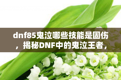 dnf85鬼泣哪些技能是固伤，揭秘DNF中的鬼泣王者，85级鬼泣的全面解析