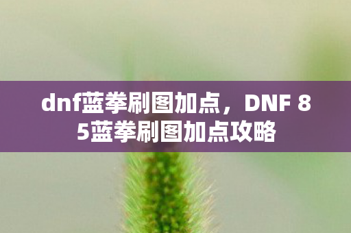 dnf蓝拳刷图加点，DNF 85蓝拳刷图加点攻略