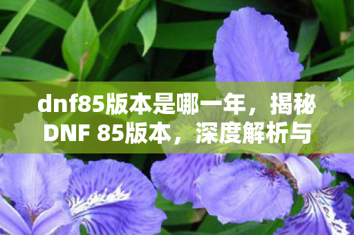 dnf85版本是哪一年,揭秘DNF 85版本,深度解析与游戏攻略 dnf85版本是哪一年,揭秘DNF 85版本,深度解析与游戏攻略