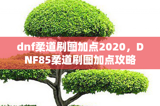 dnf柔道刷图加点2020,DNF85柔道刷图加点攻略 dnf柔道刷图加点2020,DNF85柔道刷图加点攻略