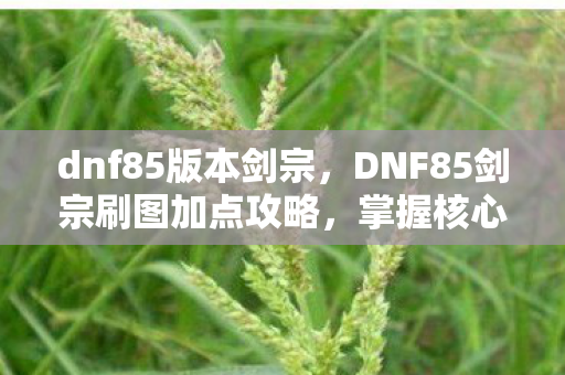 dnf85版本剑宗,DNF85剑宗刷图加点攻略,掌握核心技能,轻松应对各种挑战 dnf85版本剑宗,DNF85剑宗刷图加点攻略,掌握核心技能,轻松应对各种挑战