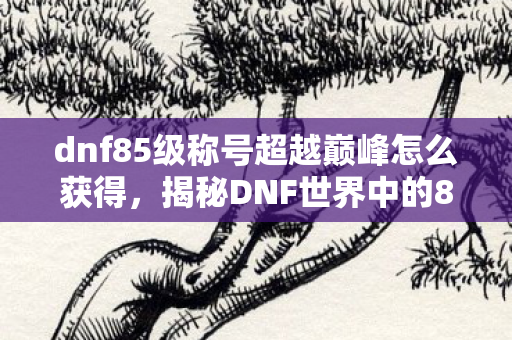 dnf85级称号超越巅峰怎么获得，揭秘DNF世界中的85级巅峰之战，挑战与成长并存