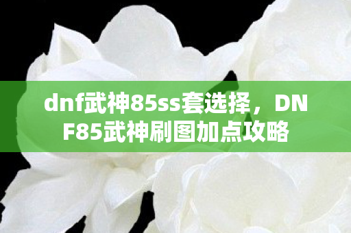 dnf武神85ss套选择,DNF85武神刷图加点攻略 dnf武神85ss套选择,DNF85武神刷图加点攻略