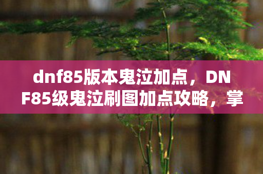dnf85版本鬼泣加点，DNF85级鬼泣刷图加点攻略，掌握核心技能，轻松提升战斗效率
