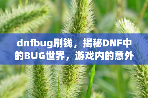 dnfbug刷钱,揭秘DNF中的BUG世界,游戏内的意外奇遇与挑战 dnfbug刷钱,揭秘DNF中的BUG世界,游戏内的意外奇遇与挑战