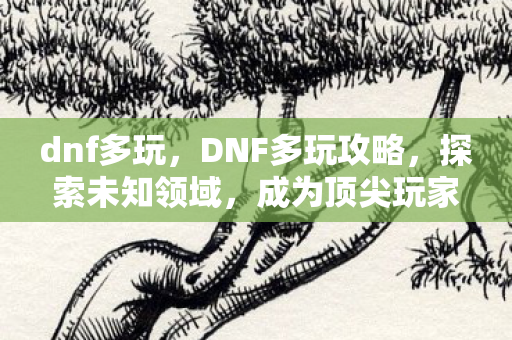 dnf多玩，DNF多玩攻略，探索未知领域，成为顶尖玩家！
