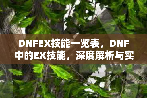DNFEX技能一览表,DNF中的EX技能,深度解析与实战应用策略 DNFEX技能一览表,DNF中的EX技能,深度解析与实战应用策略