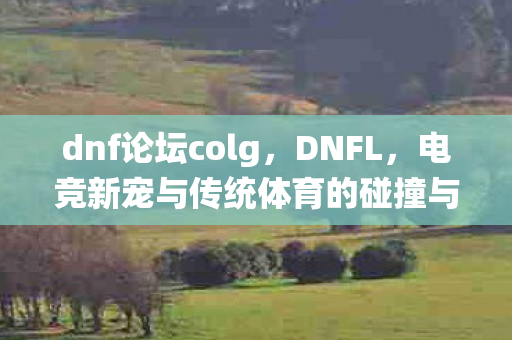 dnf论坛colg,DNFL,电竞新宠与传统体育的碰撞与融合 dnf论坛colg,DNFL,电竞新宠与传统体育的碰撞与融合