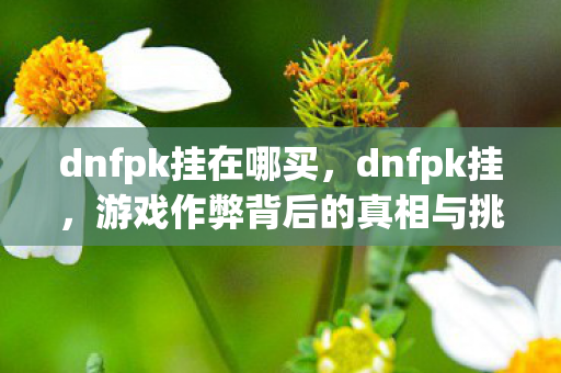 dnfpk挂在哪买,dnfpk挂,游戏作弊背后的真相与挑战 dnfpk挂在哪买,dnfpk挂,游戏作弊背后的真相与挑战