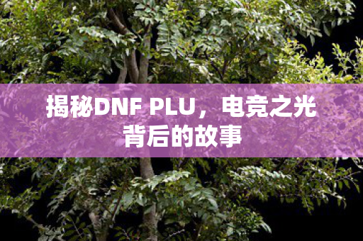 揭秘DNF PLU,电竞之光背后的故事 揭秘DNF PLU,电竞之光背后的故事