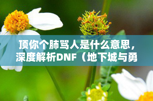 顶你个肺骂人是什么意思,深度解析DNF(地下城与勇士)游戏特色与玩家体验 顶你个肺骂人是什么意思,深度解析DNF(地下城与勇士)游戏特色与玩家体验