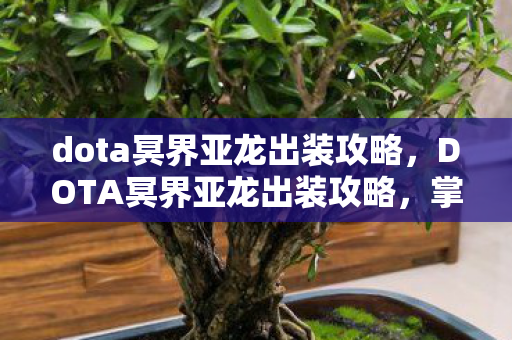 dota冥界亚龙出装攻略，DOTA冥界亚龙出装攻略，掌握核心装备，让你成为战场霸主！