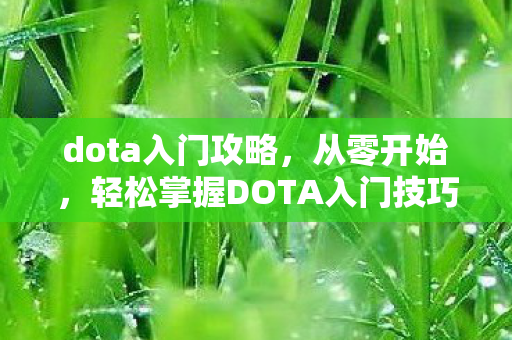 dota入门攻略,从零开始,轻松掌握DOTA入门技巧 dota入门攻略,从零开始,轻松掌握DOTA入门技巧
