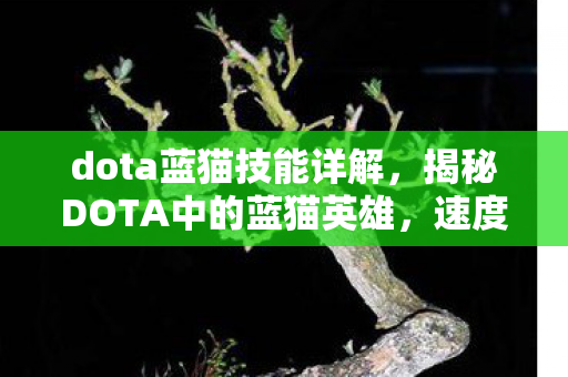 dota蓝猫技能详解,揭秘DOTA中的蓝猫英雄,速度与激情的结合 dota蓝猫技能详解,揭秘DOTA中的蓝猫英雄,速度与激情的结合
