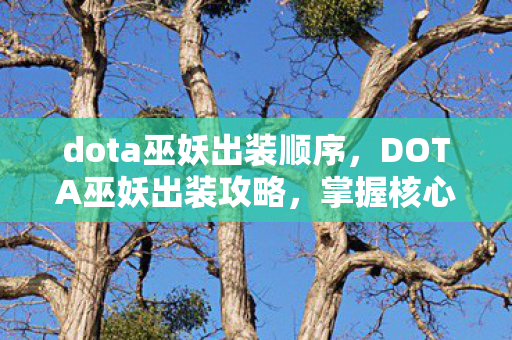 dota巫妖出装顺序,DOTA巫妖出装攻略,掌握核心装备,让你成为战场法师之星 dota巫妖出装顺序,DOTA巫妖出装攻略,掌握核心装备,让你成为战场法师之星