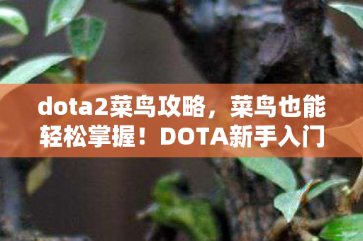 dota2菜鸟攻略,菜鸟也能轻松掌握!DOTA新手入门教程 dota2菜鸟攻略,菜鸟也能轻松掌握!DOTA新手入门教程