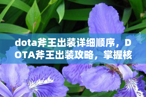 dota斧王出装详细顺序，DOTA斧王出装攻略，掌握核心装备，让你战场无敌