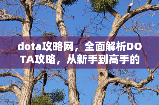 dota攻略网,全面解析DOTA攻略,从新手到高手的进阶之路 dota攻略网,全面解析DOTA攻略,从新手到高手的进阶之路