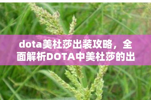 dota美杜莎出装攻略,全面解析DOTA中美杜莎的出装策略 dota美杜莎出装攻略,全面解析DOTA中美杜莎的出装策略