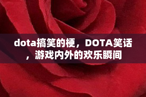 dota搞笑的梗,DOTA笑话,游戏内外的欢乐瞬间 dota搞笑的梗,DOTA笑话,游戏内外的欢乐瞬间
