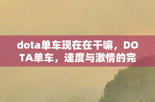 dota单车现在在干嘛,DOTA单车,速度与激情的完美融合 dota单车现在在干嘛,DOTA单车,速度与激情的完美融合