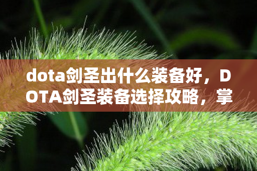dota剑圣出什么装备好,DOTA剑圣装备选择攻略,掌握核心装备,轻松提升战斗力! dota剑圣出什么装备好,DOTA剑圣装备选择攻略,掌握核心装备,轻松提升战斗力!