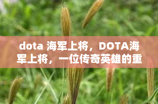dota 海军上将，DOTA海军上将，一位传奇英雄的重现
