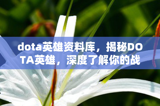 dota英雄资料库,揭秘DOTA英雄,深度了解你的战场伙伴 dota英雄资料库,揭秘DOTA英雄,深度了解你的战场伙伴