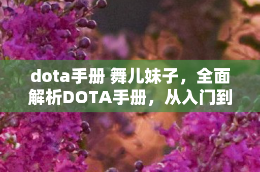dota手册 舞儿妹子,全面解析DOTA手册,从入门到进阶的实战指南 dota手册 舞儿妹子,全面解析DOTA手册,从入门到进阶的实战指南
