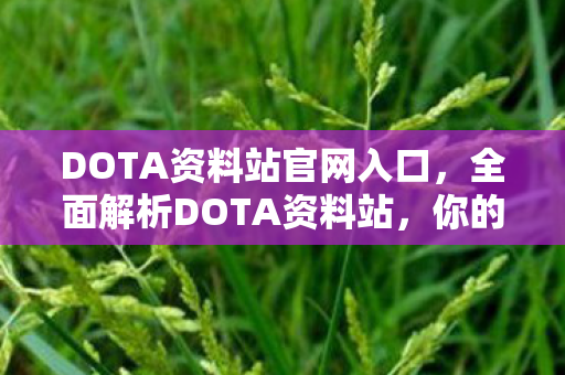DOTA资料站官网入口,全面解析DOTA资料站,你的游戏宝典 DOTA资料站官网入口,全面解析DOTA资料站,你的游戏宝典