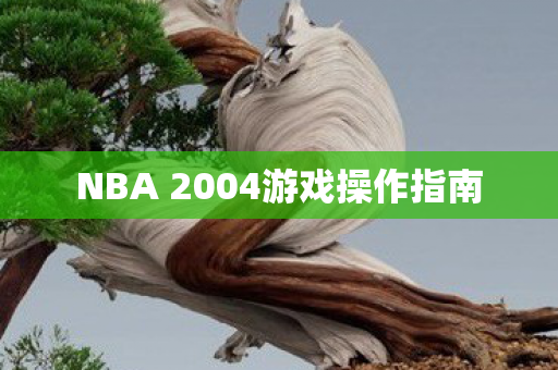 NBA 2004游戏操作指南