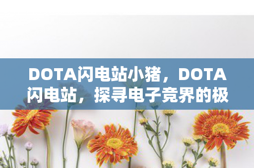 DOTA闪电站小猪，DOTA闪电站，探寻电子竞界的极速激情