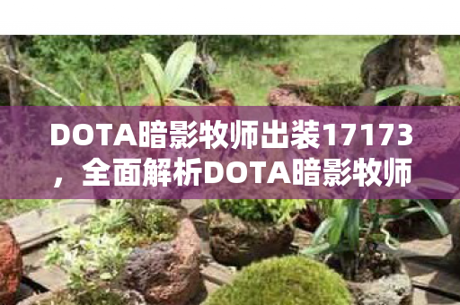 DOTA暗影牧师出装17173，全面解析DOTA暗影牧师的出装策略，从新手到高手的必备指南