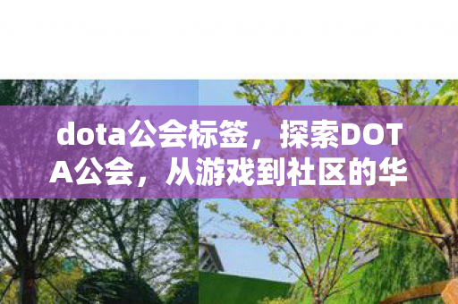 dota公会标签,探索DOTA公会,从游戏到社区的华丽转变 dota公会标签,探索DOTA公会,从游戏到社区的华丽转变