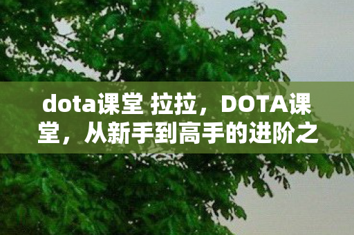 dota课堂 拉拉,DOTA课堂,从新手到高手的进阶之路 dota课堂 拉拉,DOTA课堂,从新手到高手的进阶之路