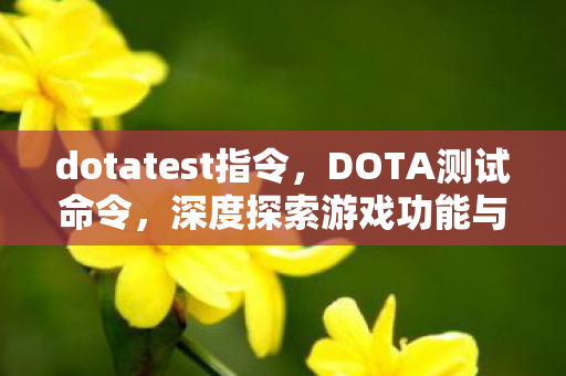 dotatest指令,DOTA测试命令,深度探索游戏功能与调试秘籍 dotatest指令,DOTA测试命令,深度探索游戏功能与调试秘籍